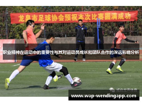 职业精神在运动中的重要性与其对运动员成长和团队合作的深远影响分析 职业精神在运动中的重要性与其对运动员成长和团队合作的深远影响分析