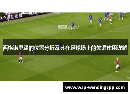 西格诺里踢的位置分析及其在足球场上的关键作用详解 西格诺里踢的位置分析及其在足球场上的关键作用详解