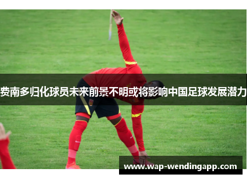 费南多归化球员未来前景不明或将影响中国足球发展潜力 费南多归化球员未来前景不明或将影响中国足球发展潜力