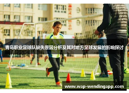 青岛职业足球队缺失原因分析及其对地方足球发展的影响探讨 青岛职业足球队缺失原因分析及其对地方足球发展的影响探讨
