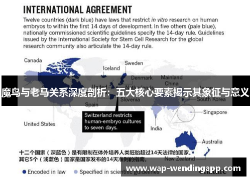 魔鸟与老马关系深度剖析：五大核心要素揭示其象征与意义