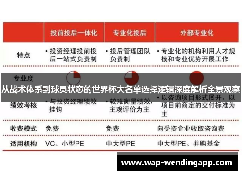 从战术体系到球员状态的世界杯大名单选择逻辑深度解析全景观察