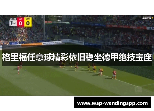 格里福任意球精彩依旧稳坐德甲绝技宝座