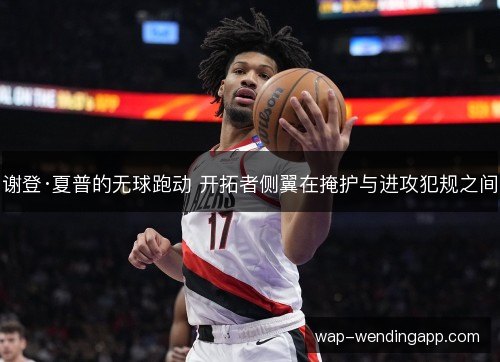 谢登·夏普的无球跑动 开拓者侧翼在掩护与进攻犯规之间 谢登·夏普的无球跑动 开拓者侧翼在掩护与进攻犯规之间